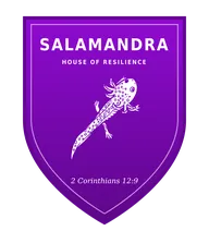 Salamandra, House of Resilience