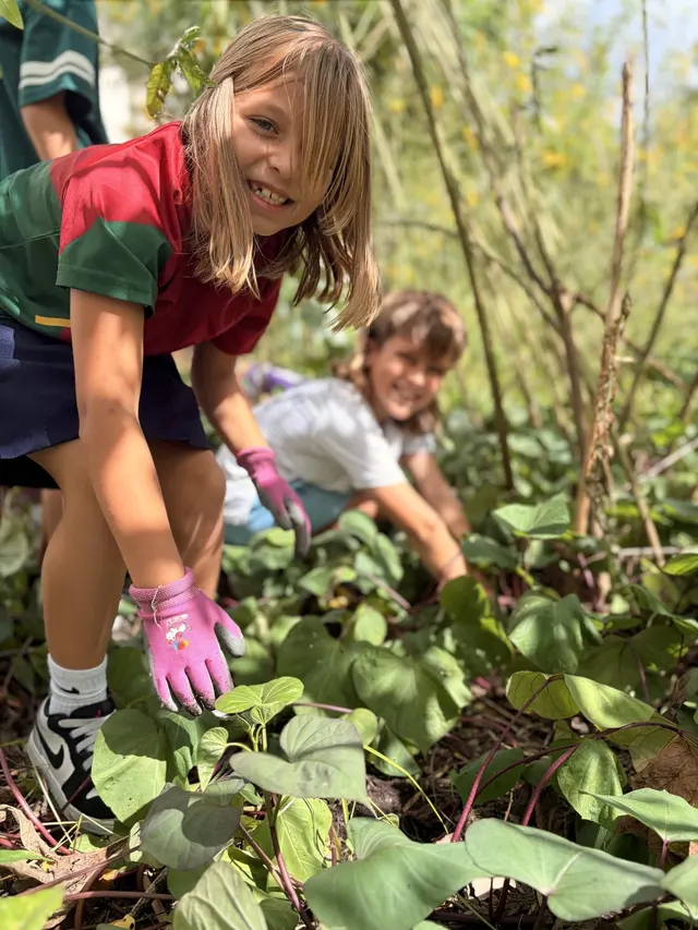 From Our Garden to Market: Grade 3 Harvest at Creation Village World School