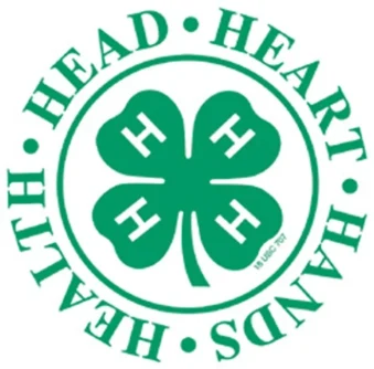 4-H clover: Head, Heart, Hands, Health