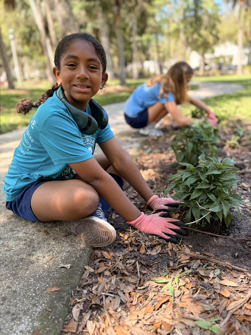 A student kneeling to plant in a campus flower bed