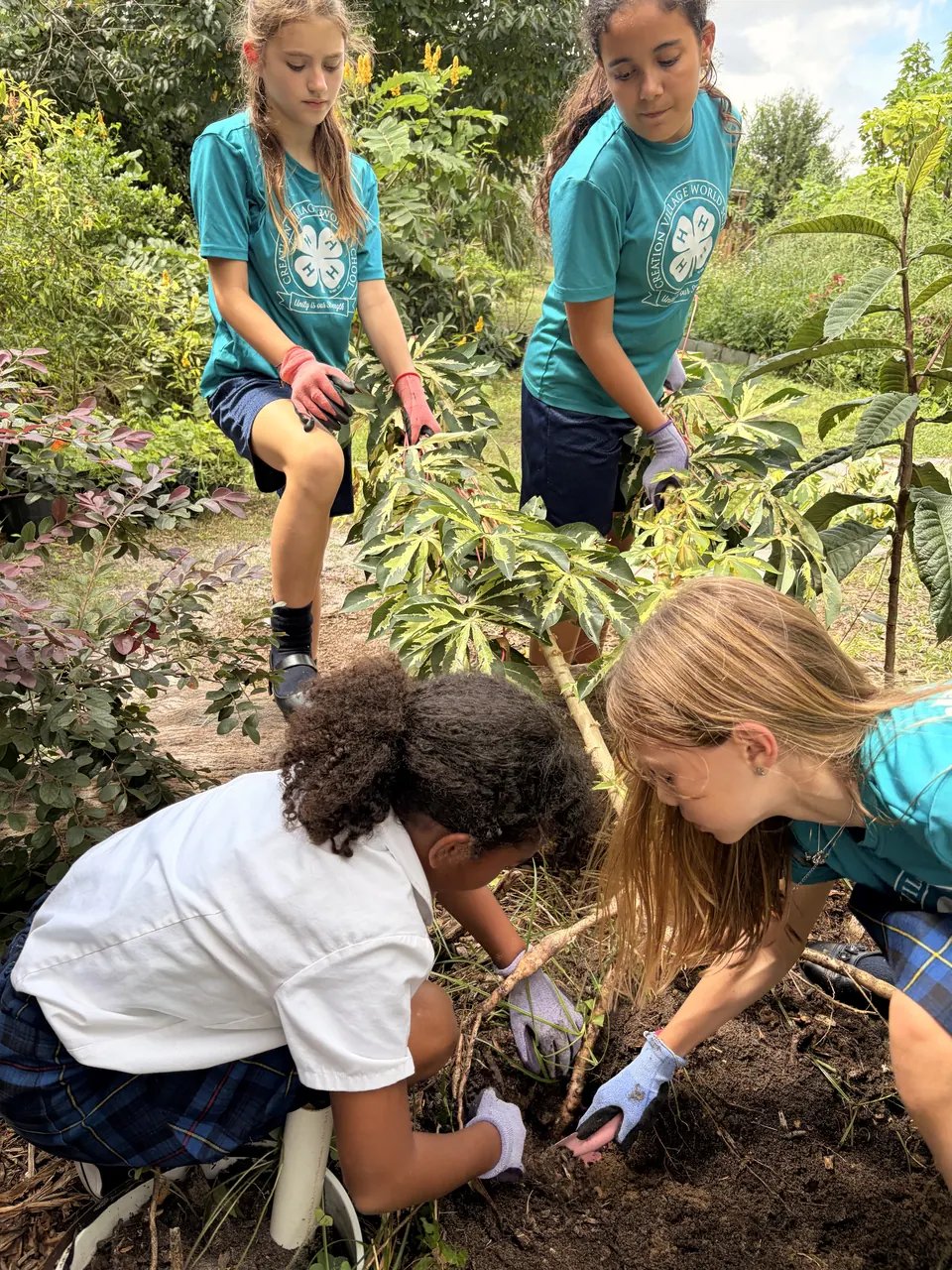 Students in 4-H shirts planting together in the garden