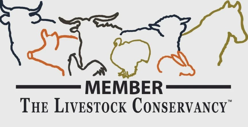 Member, The Livestock Conservancy
