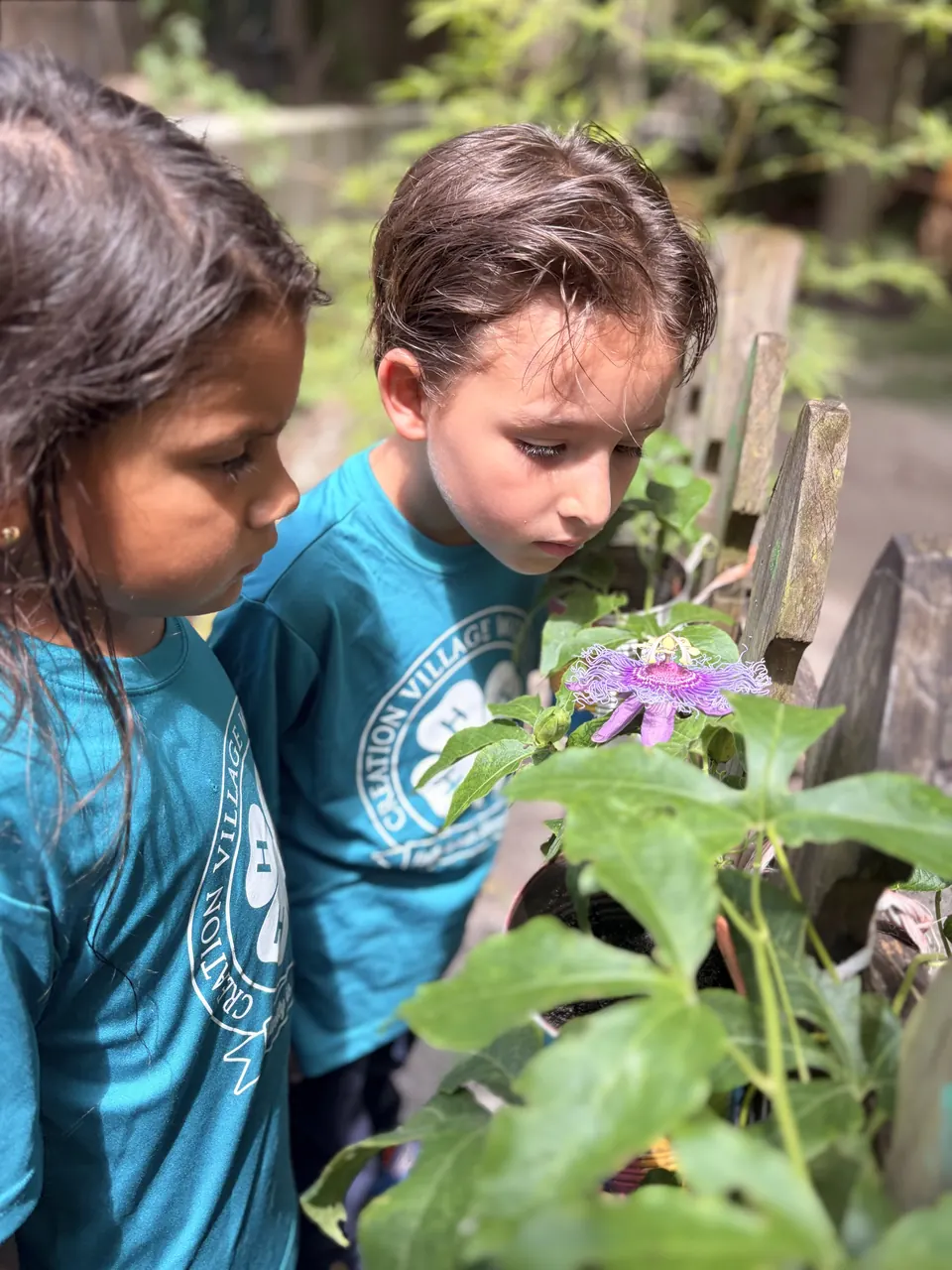 Two students looking closely at a passionflower