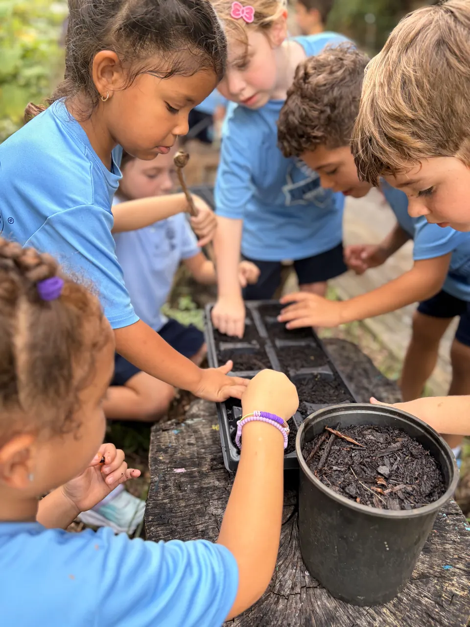 Primary students filling seed trays with soil