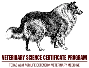 Veterinary Science Certificate Program, Texas A&M AgriLife Extension Veterinary Medicine